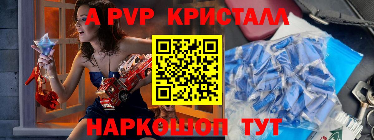 Альфа ПВП СК КРИС Сунжа