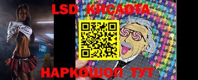 стафф Лесосибирск
