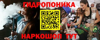 шишки Ликино-Дулёво